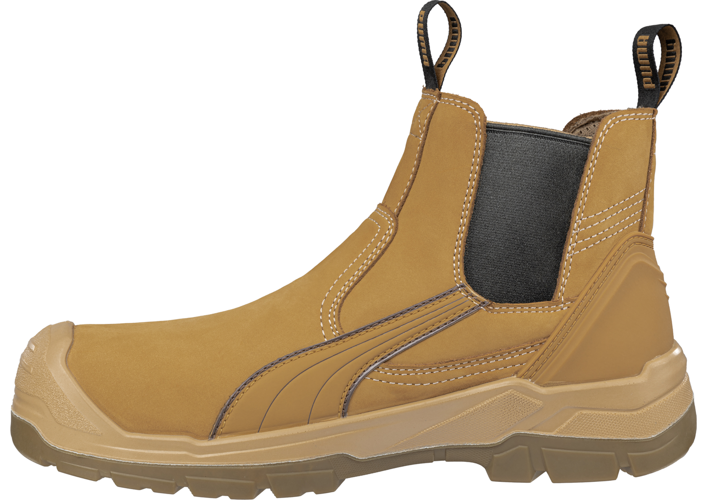 PUMA Tanami Wheat