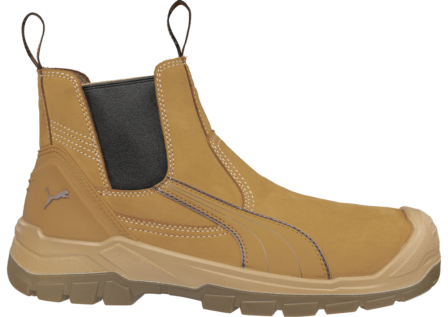 PUMA Tanami Wheat