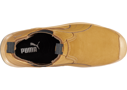 PUMA Tanami Wheat